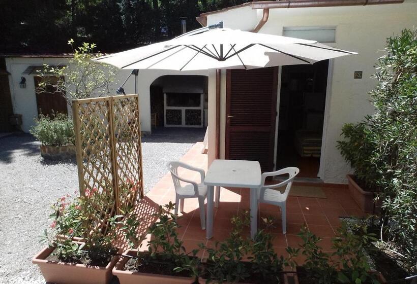 Студия Стандарт, Residence Le Mimose