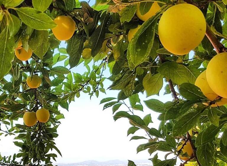 Дом 1 Спальня, Casa Vacanza Villa Lesto