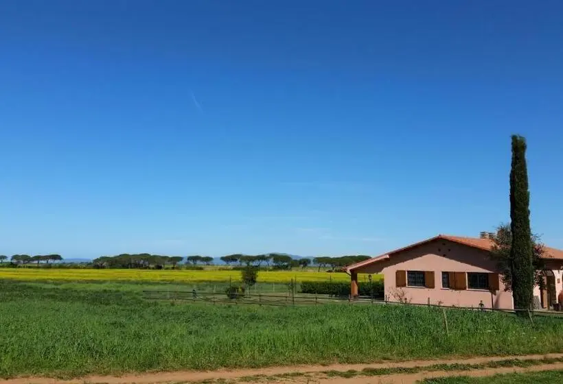 1ベッドルームアパートメント, Agriturismo Le Giunchiglie