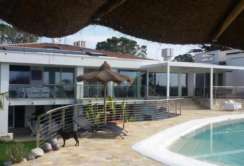 Люкс Кровать Кинг, Agriturismob&b Loggia Degli Artisti