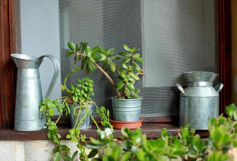 스탠다드 룸 가든 전망, Azienda Agrituristica Il Pago