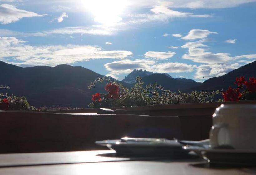 اتاق استاندارد, Brunnerhof