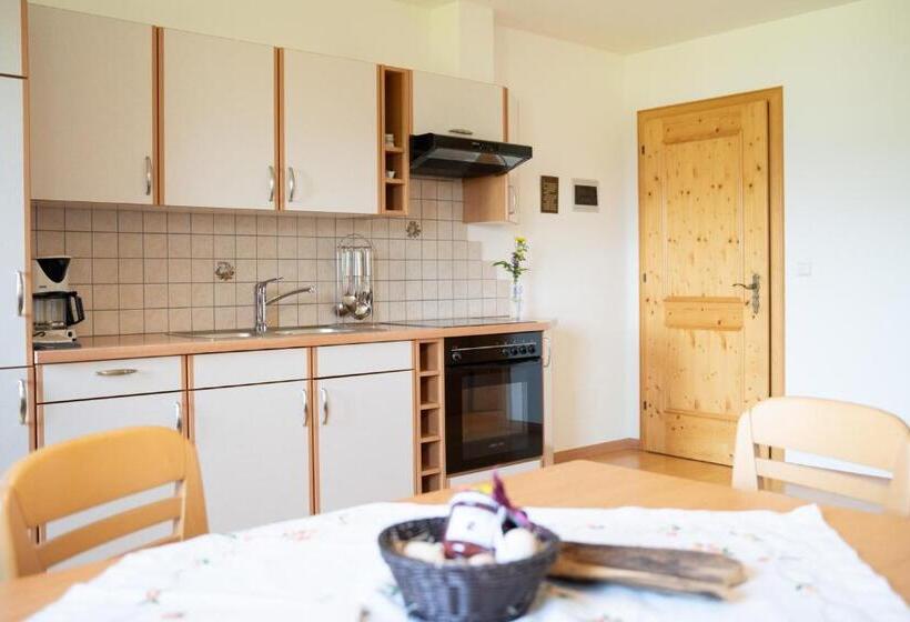 Апартаменты 1 Спальня, Fortschöllhof