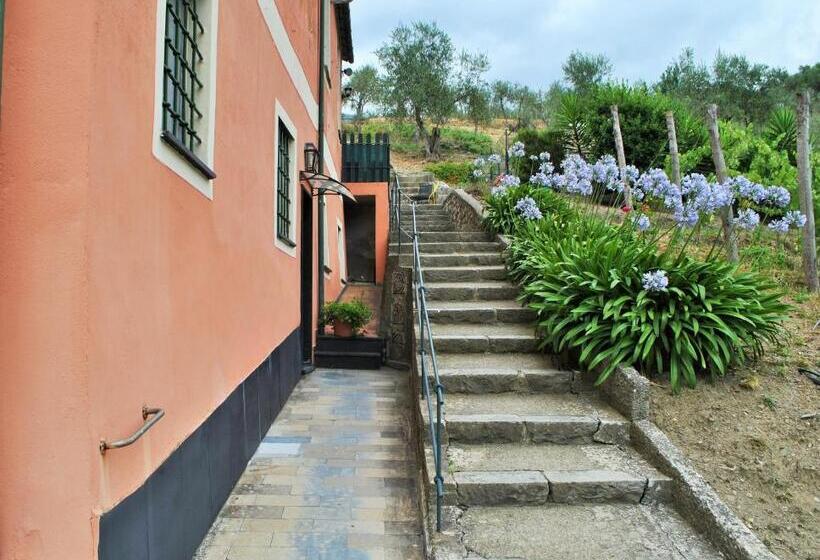 سوئیت کلاسیک, L' Amandola