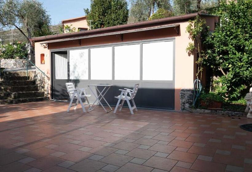 اتاق لوکس, L' Amandola