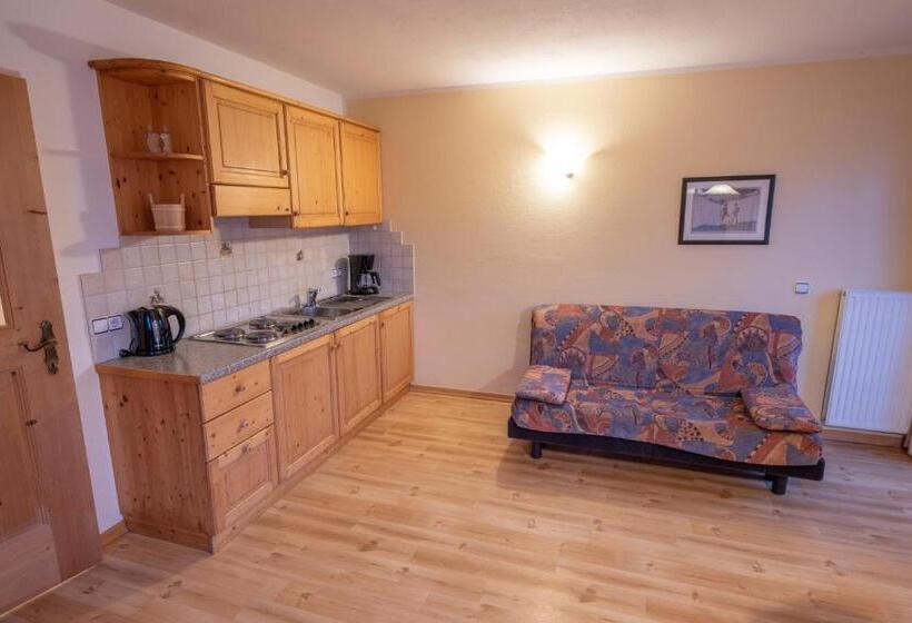 דירה בת חדר שינה 1 עם נוף, Patztauhof