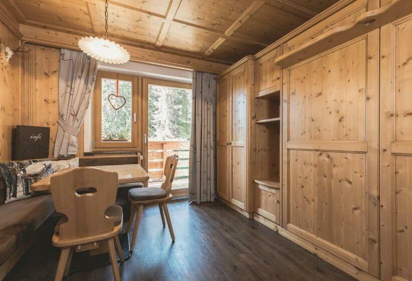 Апартаменты 1 Спальня, Residence Ciasa Vedla