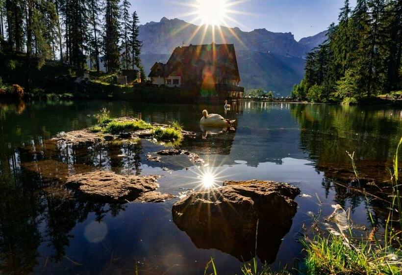 Апартаменты 1 Спальня, Residence Ciasa Vedla