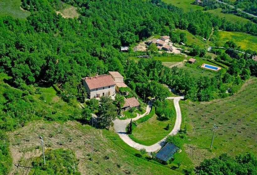 1ベッドルームアパートメント, Agriturismo Santa Caterina