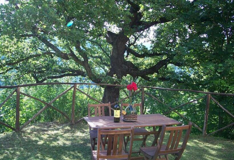 1ベッドルームアパートメント, Agriturismo Santa Caterina