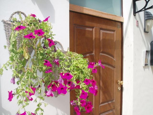 标准三人间, Guest House Bed And Roses