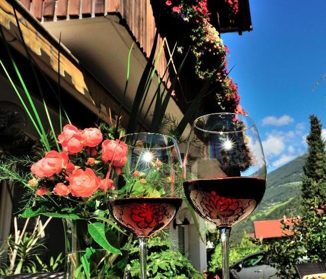 חדר יחיד בסיסי, Residence Hofer