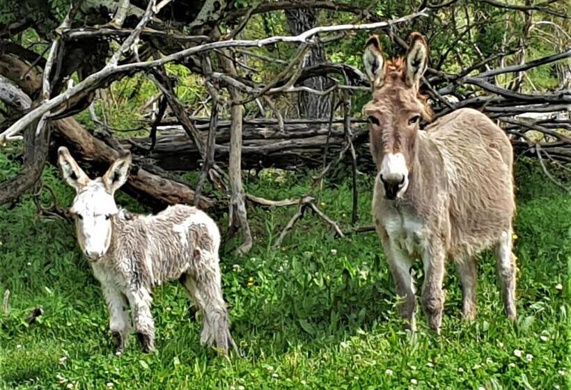 Дом 1 Спальня, Ferme Equestre Les Coccinelles