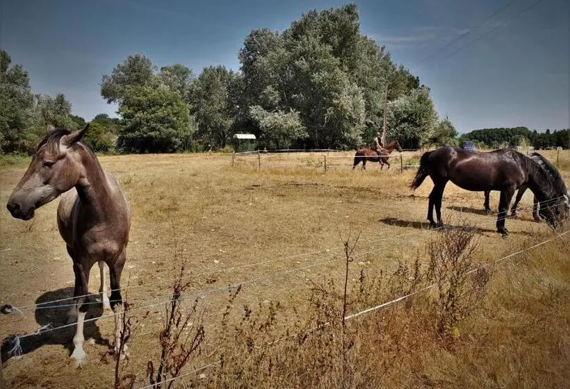 １ベッドルームハウス, Ferme Equestre Les Coccinelles