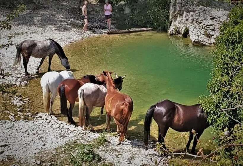 １ベッドルームハウス, Ferme Equestre Les Coccinelles