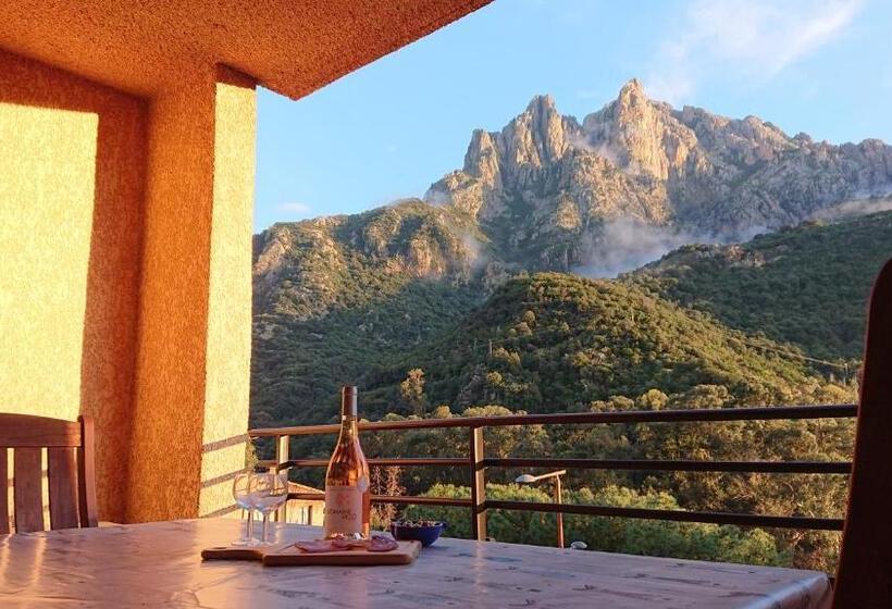 带1个卧室的带阳台的公寓, Résidence A Barcella