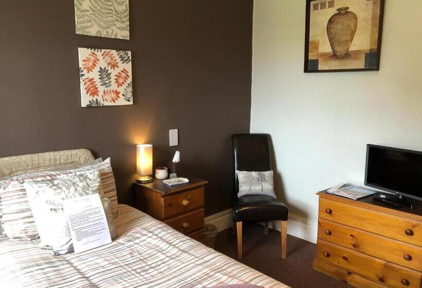 Номер Стандарт Индивидуальный, Forse Of Nature