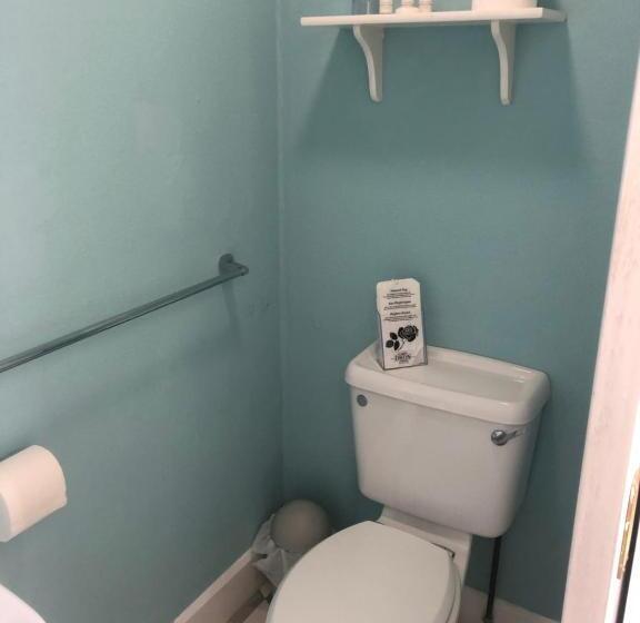 غرفة ديلوكس مطلّة علي البحر, The Sandpiper