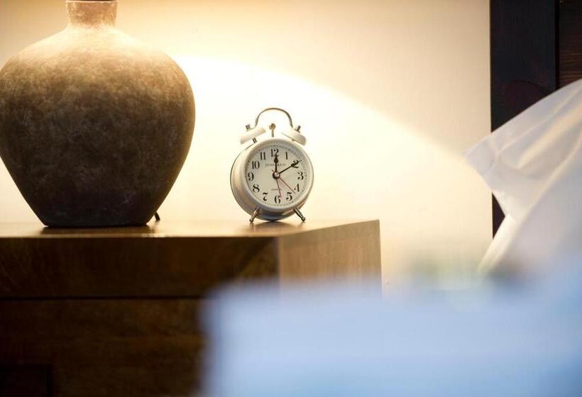 غرفة قياسية, Springfield Guesthouse