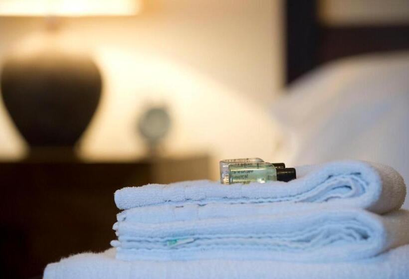 غرفة قياسية, Springfield Guesthouse