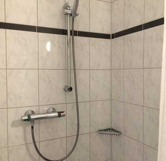 غرفة قياسية فردية, Penny Pension