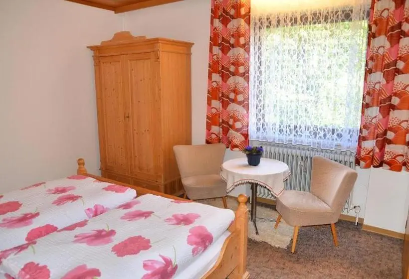 Standard-huone, Pension Mausbachtal