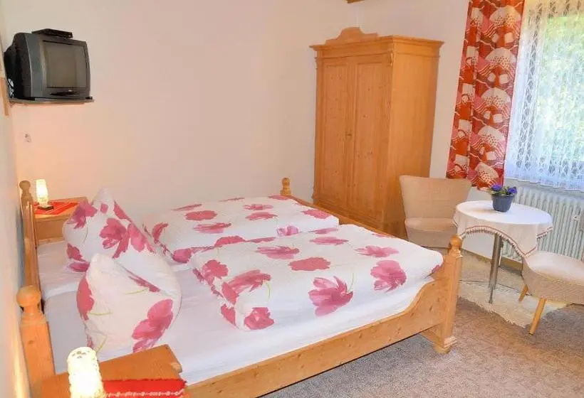 Standard-huone, Pension Mausbachtal