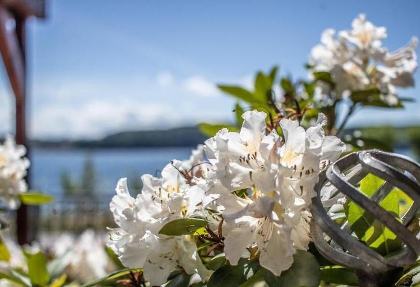 Teraslı 1 Yatak Odalı Daire, Gästehaus Zum Felsen