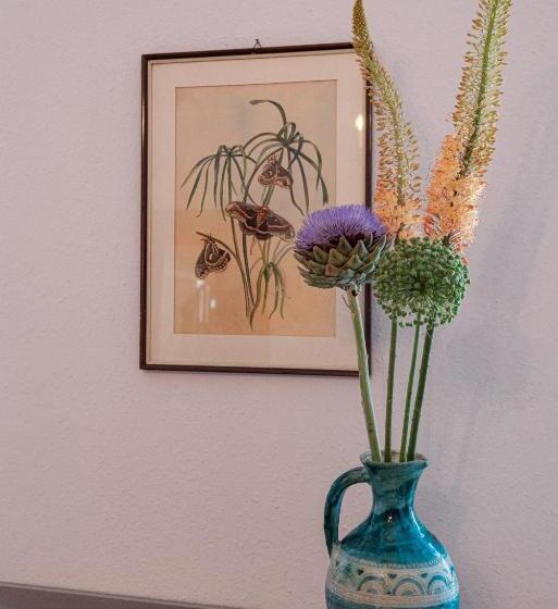 اتاق اکونومی, Pension Bellevue