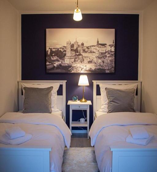 １ベッドルームのデラックスアパートメント, Apartone Altstadt