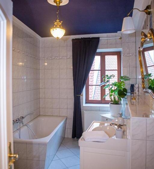 １ベッドルームのデラックスアパートメント, Apartone Altstadt