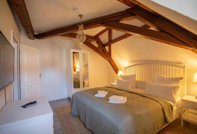 Люкс с Террасой, Apartone Altstadt