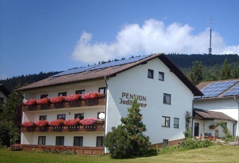 Апартаменты 1 Спальня с Балконом, Pension Jodlbauer