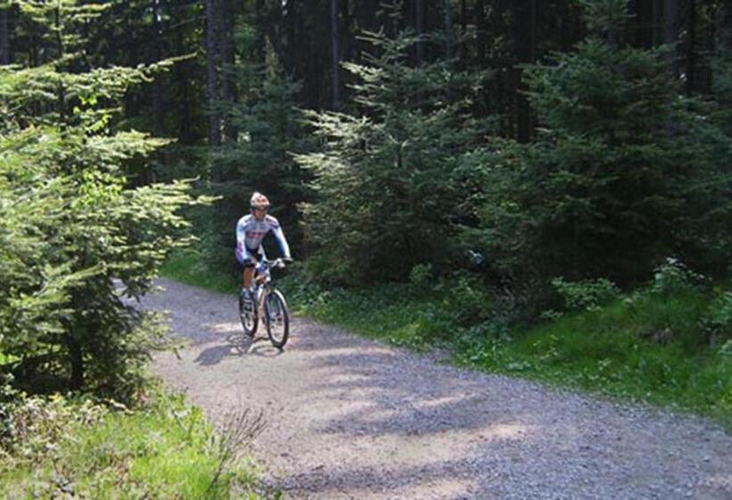 Estudio Standart com Balcão, Gasthof Krone