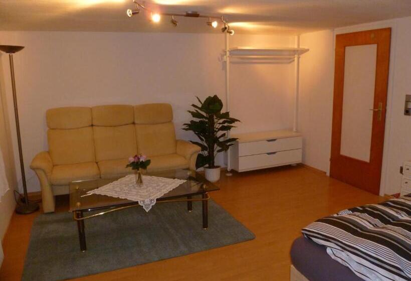 带2个卧室的公寓, Guest House Schneider