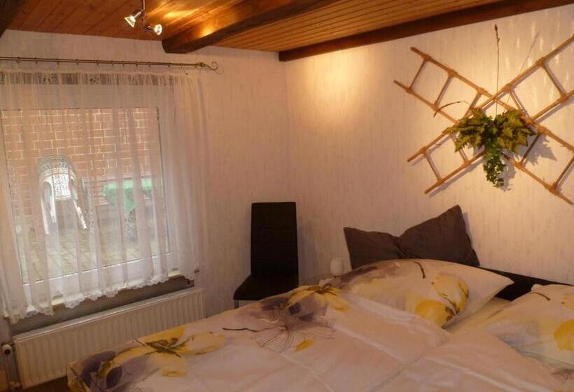 经济房, Guest House Schneider