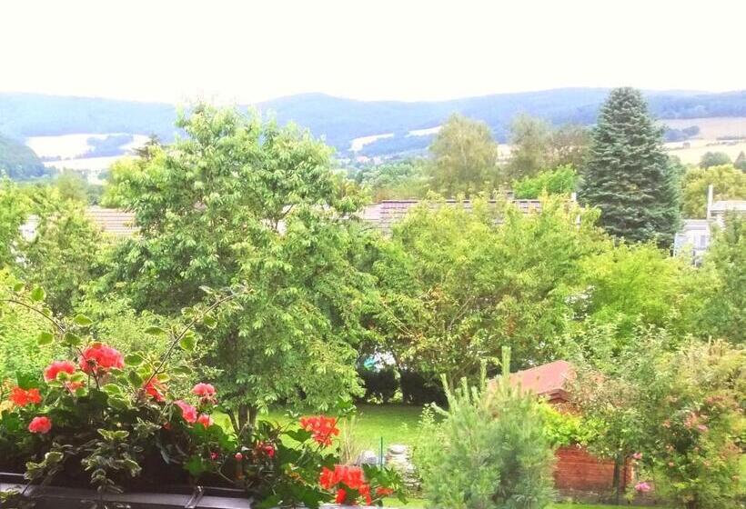 Номер Стандарт Индивидуальный, Café & Pension Meine Sonne ... Sole Mio