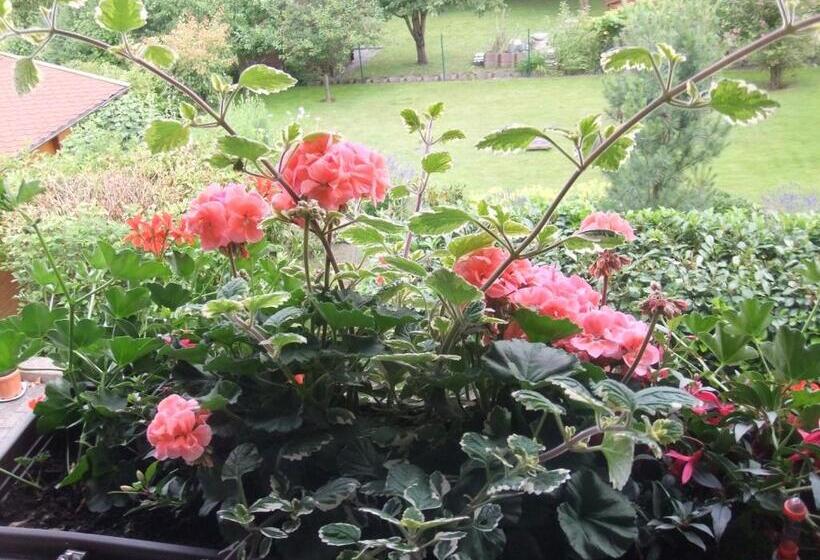 חדר סטנדרט יחיד, Café & Pension Meine Sonne ... Sole Mio