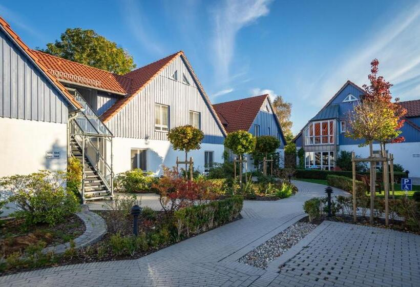 דירת חדר, Kurmittelcentrum Zingst