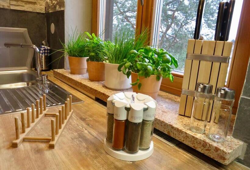 バルコニー付き1ベッドルームアパートメント, Casa Shania