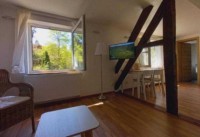 غرفة قياسية ثلاثية ذات اطلالة, Waldpension Harzer Waldwinkel