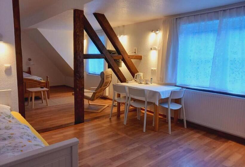 Трехместный Номер Стандарт с Видом, Waldpension Harzer Waldwinkel