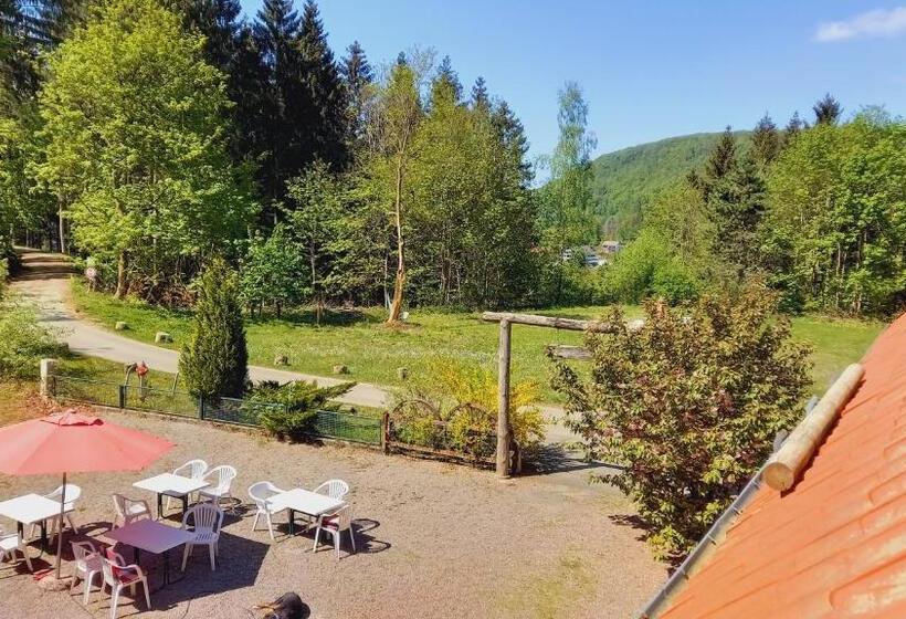 غرفة قياسية ثلاثية ذات اطلالة, Waldpension Harzer Waldwinkel
