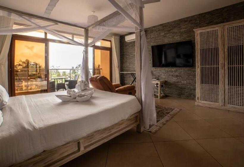 استودیوی استاندارد با چشمانداز دریا, Jumeirah Beachfront