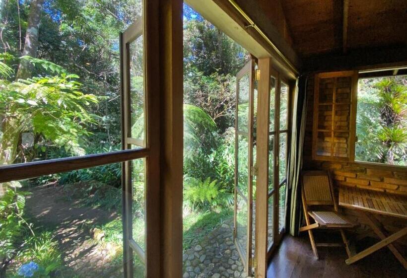 豪华房间, Kanawha