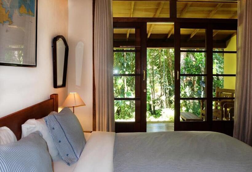 带大床的标准间, Kanawha