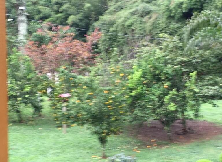 Номер Стандарт с Гидромассажем, Pousada Casa Fazenda Do Rio