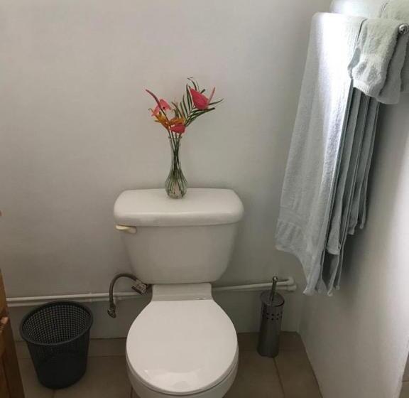 اتاق استاندارد با چشمانداز باغ, Cocoa Pod Studio