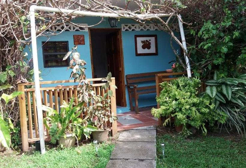 اتاق استاندارد با چشمانداز باغ, Cocoa Pod Studio