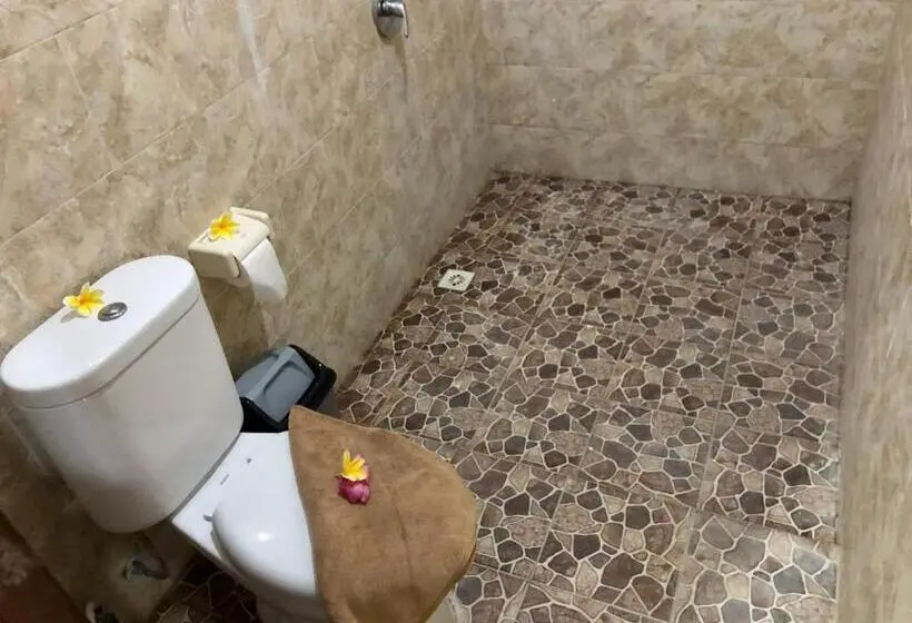 اتاق لوکس, The Nau Home